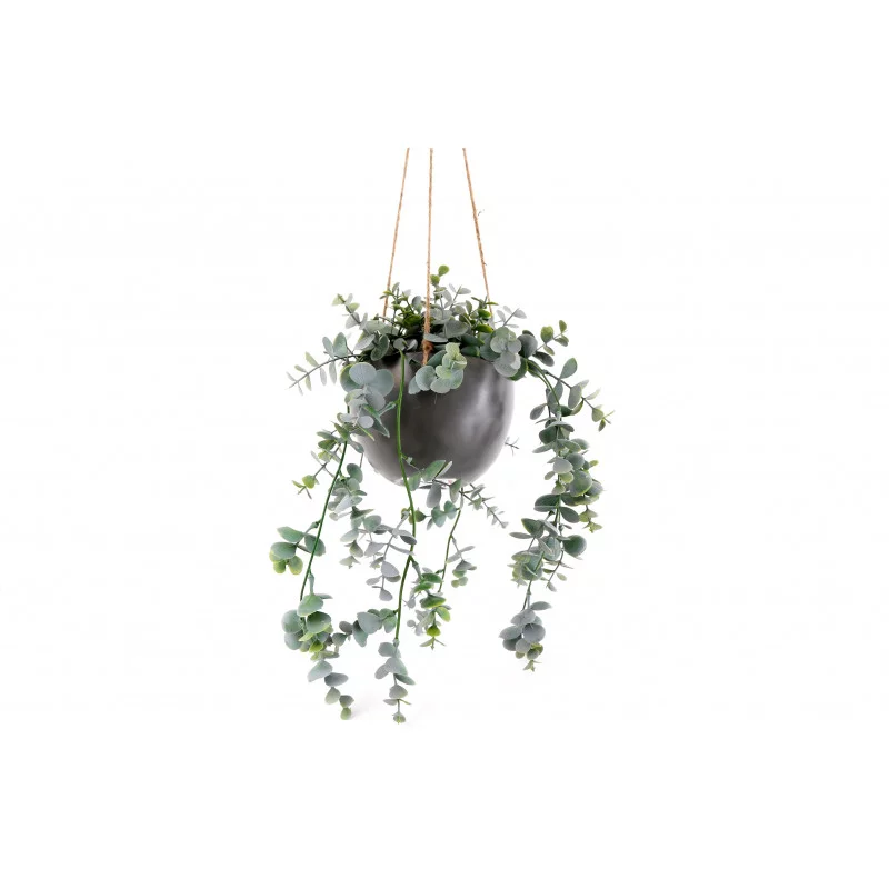 SUSPENSION EUCALYPTUS 15X75CM