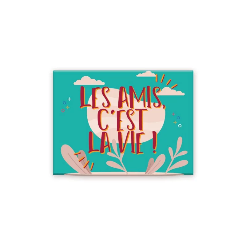 MAGNET "LES AMIS C EST LA VIE"