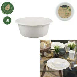 COUPELLE EN CANNE A SUCRE 13CM X6