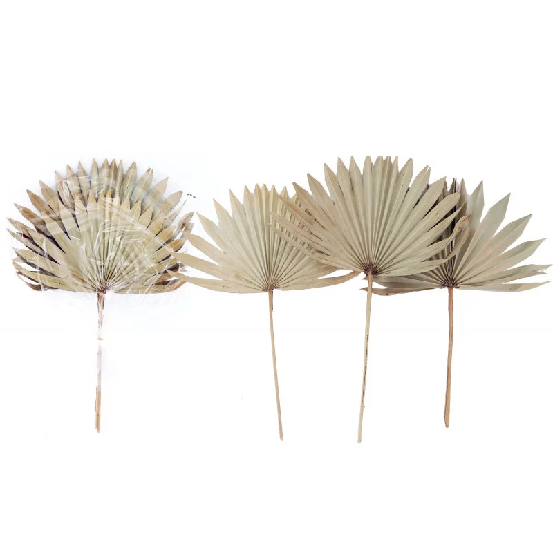 FEUILLE SOLEIL NATUREL 55CM X3PCS