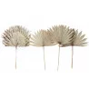 FEUILLE SOLEIL NATUREL 55CM X3PCS