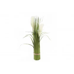 RAMO 3 PAMPAS 61CM