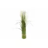 BUKIET 3 PAMPAS 61CM