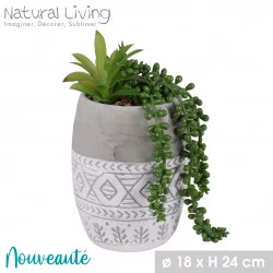 PLANTE SUCCULENTE EN POT CIMENT DESIGN I