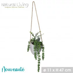 PLANTE SUCCULENTE A SUSPENDRE POT CIMENT