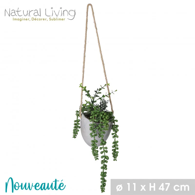 PLANTE SUCCULENTE A SUSPENDRE POT CIMENT