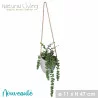 PLANTE SUCCULENTE A SUSPENDRE POT CIMENT