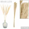 PAMPA NATUREL X3PCS H115CM