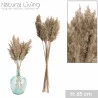 PAMPA NATUREL X20PCS H65CM-H75CM