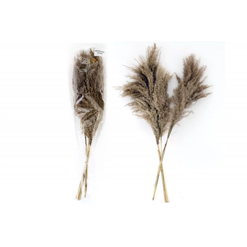 NATURALNA PAMPAS 66CM X3SZT