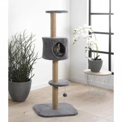 ARBRE A CHAT MULTI POSITIONS ANTHRA 6 EN
