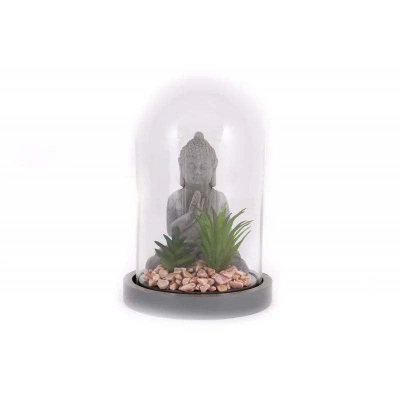 BOUDDHA PLANTE SUCCULENTE SOUS DOME