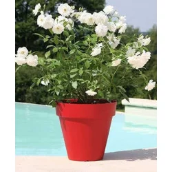 BAC À FLEURS PATIO ROND ROUGE D60cm