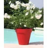 BAC À FLEURS PATIO ROND ROUGE D60cm