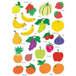 GOMMETTES FRUITS DE 2,2 A 4 CM X 46 PCS