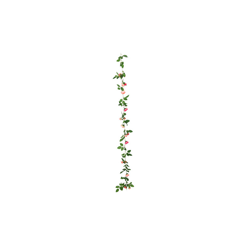 GUIRLANDE DE ROSES DE PIERRE DE RONSARD
