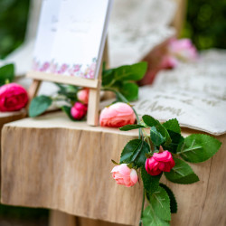 GUIRLANDE DE ROSES DE PIERRE DE RONSARD