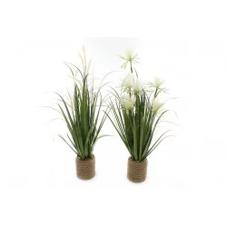 BOUQUET FLEUR PAMPA AVEC POT CORDE 74CM