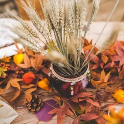 BOUQUET D' EPIS DE BLE SECHES NATURELS E