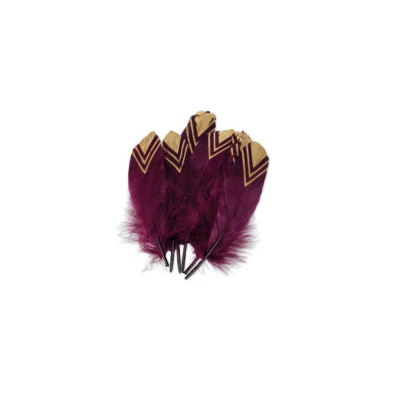 6 PLUMES ETHNIQUE MARSALA ET OR 18-20C