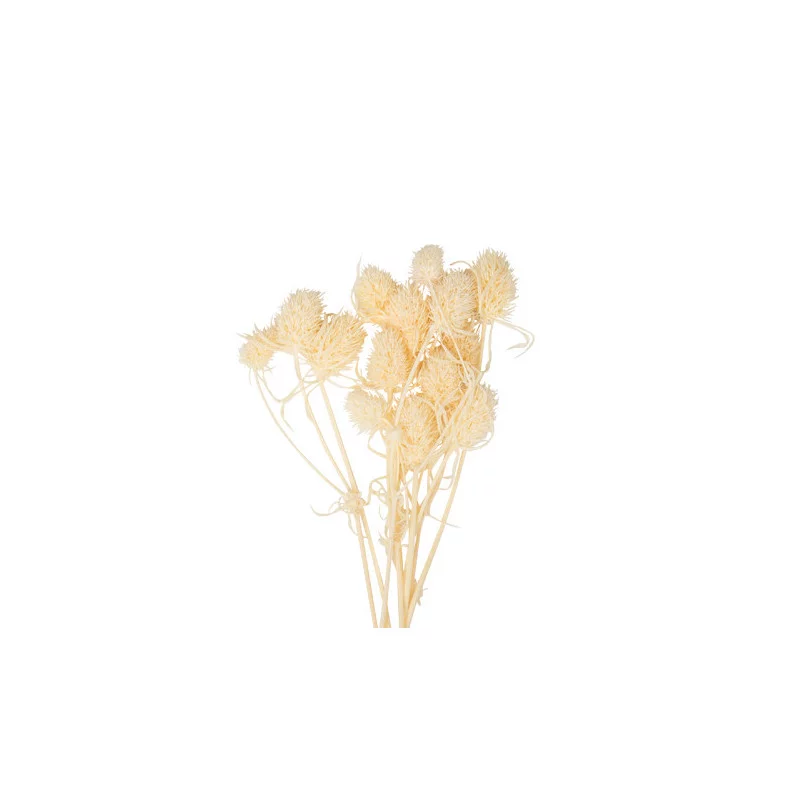 10 MINI CHARDONS NATURELS 16CM