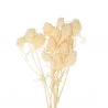 10 MINI CHARDONS NATURELS 16CM