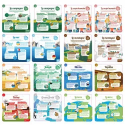 JEU DES POURQUOI 16 CARTES