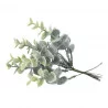 BRANCHES EUCALYPTUS SUR TIGE x10