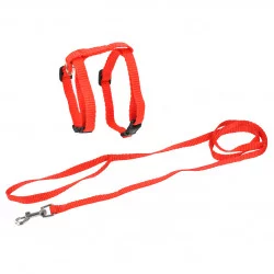 KIT HARNAIS ET LAISSE POUR CHAT ROUGE