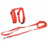 KIT HARNAIS ET LAISSE POUR CHAT ROUGE