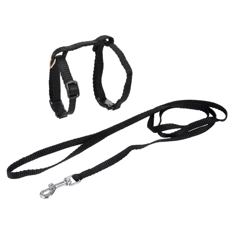 KIT HARNAIS ET LAISSE POUR CHAT NOIR