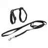 KIT HARNAIS ET LAISSE POUR CHAT NOIR
