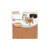 TROPHEE DECO CARTON 3D PM CHIEN TROPHEE DECO CARTON 3D PM CHIEN