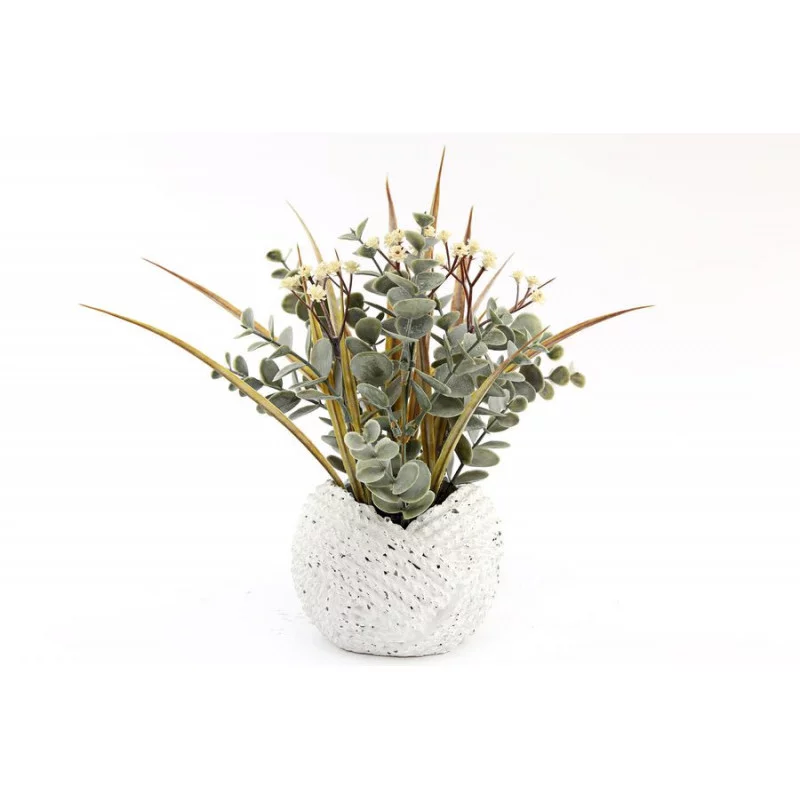 EUCALYPTUS EN POT 27X11CM