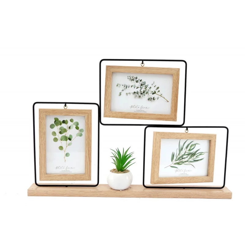 CADRE PHOTO AV PLANTE SUCCULENTE 29X46CM CADRE PHOTO AV PLANTE SUCCULENTE 29X46CM