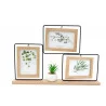 CADRE PHOTO AV PLANTE SUCCULENTE 29X46CM