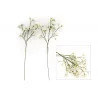 TIGE FLEURS GYPSO 60CM