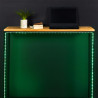 RUBAN RGB 150 LED 500CM TELECOMMANDE