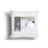 OREILLER LUXE ANTI ACARIEN 60X60CM