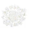 100 CONFETTIS SAUGE GREEN BLANCS, VERT