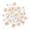 100 CONFETTIS COACHELLA MOOD BLANCS