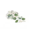 100 CONFETTIS AMOUR EUCALYPTUS