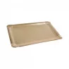 SET DE 5 PLATEAUX RECTANGLE 23*33CM OR
