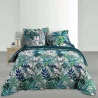 PARURE COLIBRI 260x240CM PERCALE