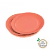 ASSIETTES X20 TERRACOTTA D18CM CARTON S