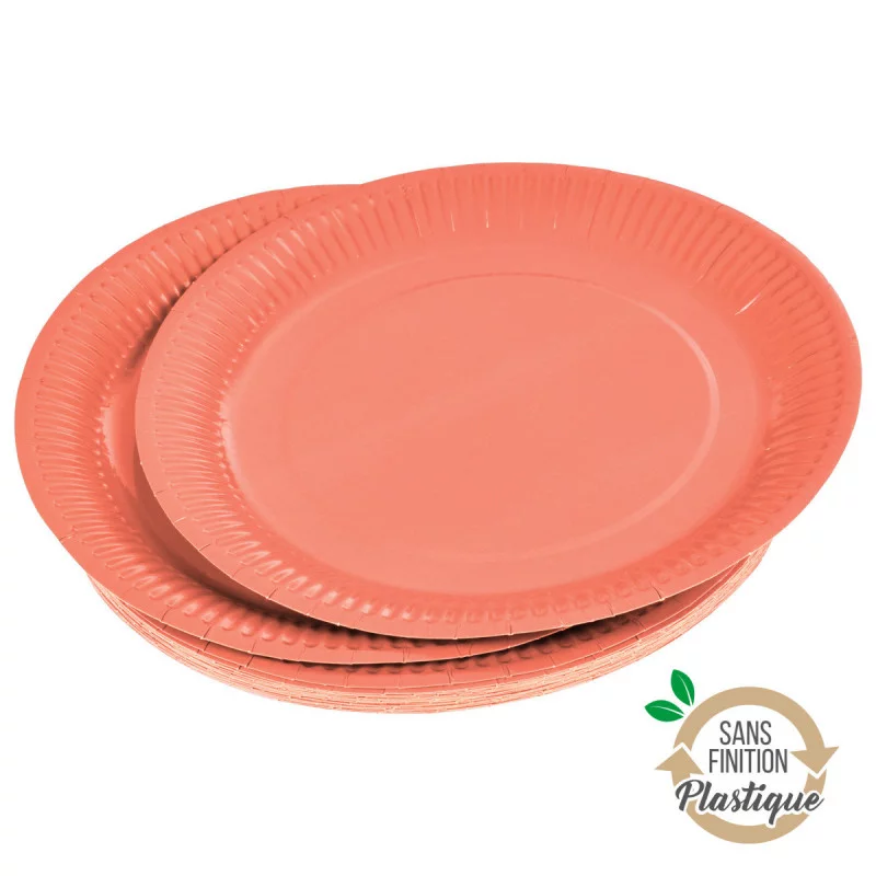 ASSIETTES X20 TERRACOTTA D23CM CARTON S