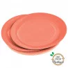 ASSIETTES X20 TERRACOTTA D23CM CARTON S