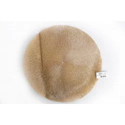 SET DE TABLE OR 38cm