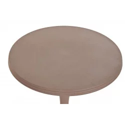 PETITE TABLE ALUMINIUM ROSE MAT D40xH50cm
