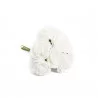 BOUQUET DE 8 ROSES MOUSSES BLANCHES 8CM